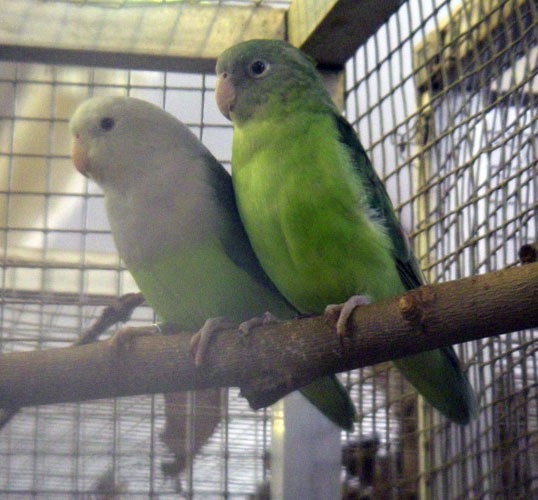 Foto 6